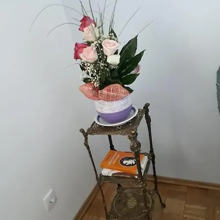 Blue Danube Free Publlic Parking ノヴィ・サド