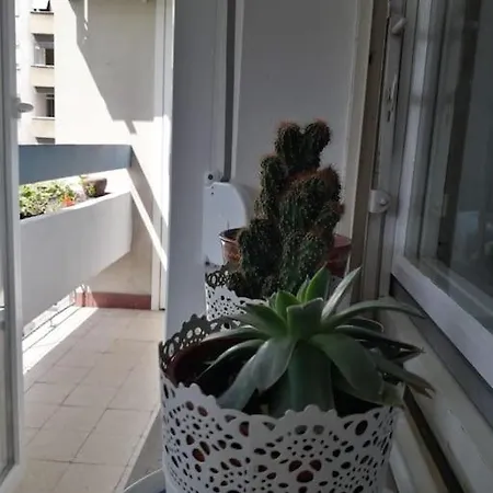 Blue Danube Free Publlic Parking アパート ノヴィ・サド